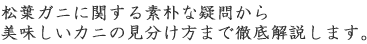 松葉ガニに関する素朴な疑問から美味しいカニの見分け方まで徹底解説します。