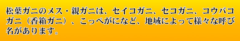 ご注文受付・お届け期間