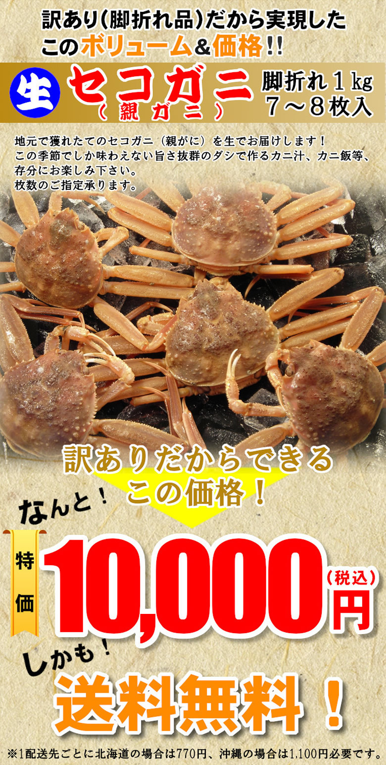 鳥取県 兵庫県産 お買い得 超徳用脚折れ 生茹 セコガニ 松葉ガニ セコガニ専門店 鮮魚屋 鳥取県 兵庫県産 お買い得 超徳用脚折れ 生茹 セコガニ 松葉ガニ セコガニ専門店 鮮魚屋