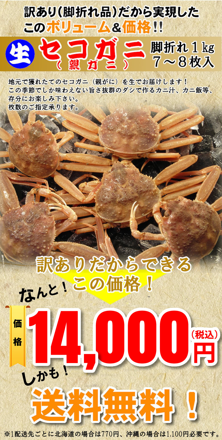 期間限定 鳥取県産 兵庫県産 生 茹セコガニ 大特価キャンペーン 通販 お取り寄せ 鮮魚屋 マルワフーズ渡辺水産
