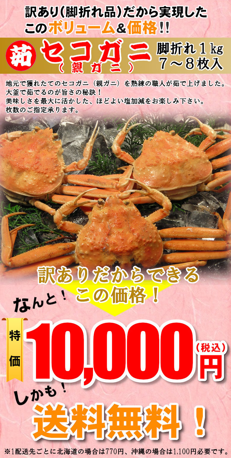 鳥取県 兵庫県産 お買い得 超徳用脚折れ 生茹 セコガニ 松葉ガニ セコガニ専門店 鮮魚屋