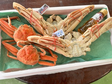 〔茹〕松葉ガニ・セコガニ夫婦セット【脚折れ】1kg 送料無料