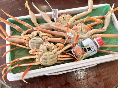 〔生〕松葉ガニ・セコガニ夫婦セット【脚折れ】1kg 送料無料