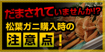 だまされていませんか!?松葉ガニ購入時の注意点