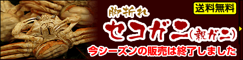 脚折れ（活・ゆで）ゆでセコガニ