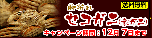 脚折れ（活・ゆで）ゆでセコガニ