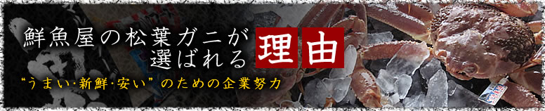 鮮魚屋の松葉ガニが選ばれる理由