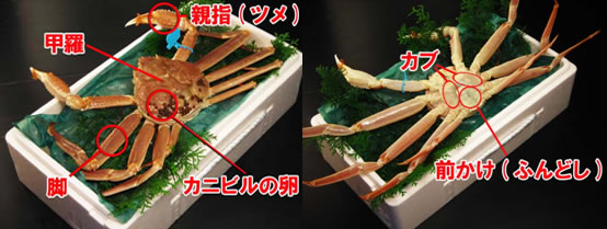 recipe_041.jpg